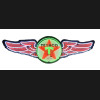 TEXACO WINGS NEON SIGN IN STEEL CAN