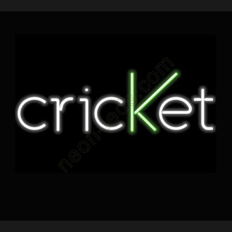 Criket neon sign