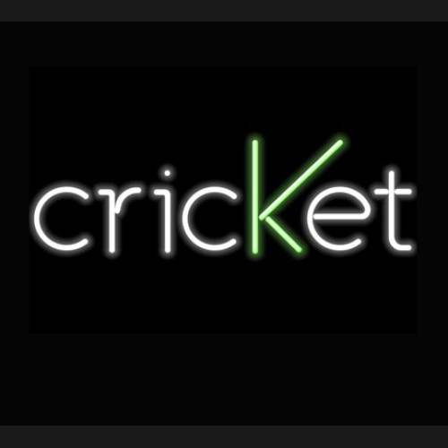Criket neon sign