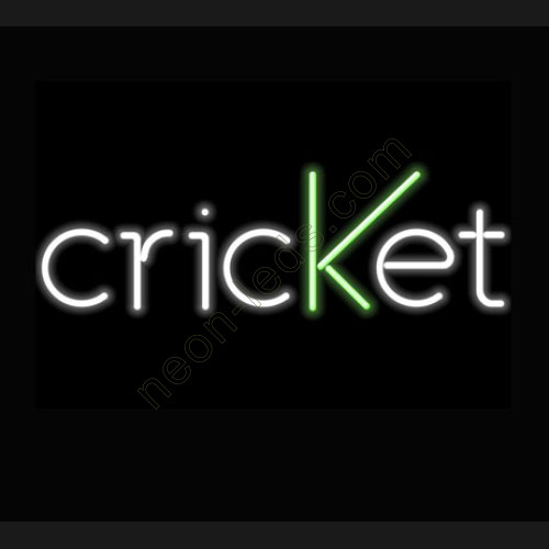Criket neon sign-WL-221111